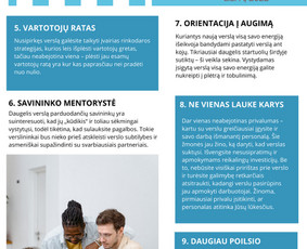 Straipsnių rašymas - Tekstų kūrėja - 2