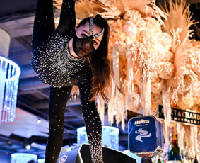 Diamonds Show - Šou pasirodymai / Diamonds Show / Darbų pavyzdys ID 2357101