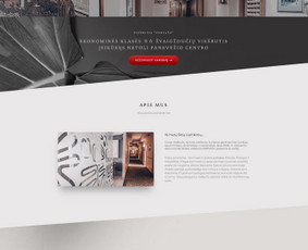 Svetainių kūrimas - Interneto svetainių kūrimas, Seo, Fb ir Google Reklama - 3