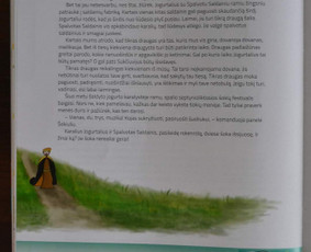 Dailininkė, iliustratorė, grafikos dizainerė Kaune / Rūta / Darbų pavyzdys ID 2366327