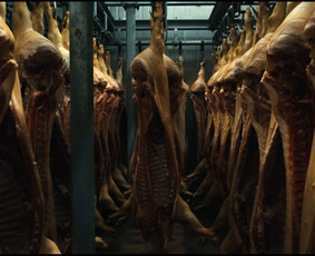 Video kūrimo paslaugos (filmavimo ir montažo paslaugos) - Reklaminių klipų kūrimas - 3 Reklaminių klipų kūrimas - Video kūrimo paslaugos (filmavimo ir montažo paslaugos) - 3