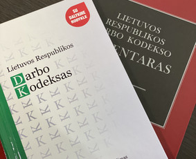 Darbo teisės paslaugos - Advokatė Monika - 1