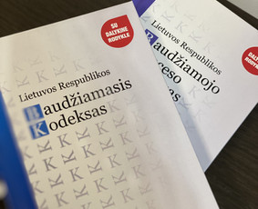 Baudžiamosios teisės paslaugos - Advokatė Monika - 1