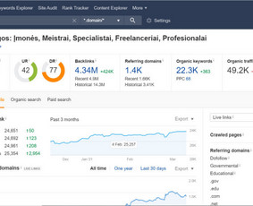 Tiktok Ads, Facebook/instagram Ads, Google Ads - Reklamos internete kūrimas - 3 Reklamos internete kūrimas - Tiktok Ads, Facebook/instagram Ads, Google Ads - 3