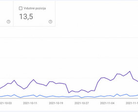Tiktok Ads, Facebook/instagram Ads, Google Ads - Pardavimų skatinimo strategijos rengimas - 2 Pardavimų skatinimo strategijos rengimas - Tiktok Ads, Facebook/instagram Ads, Google Ads - 2