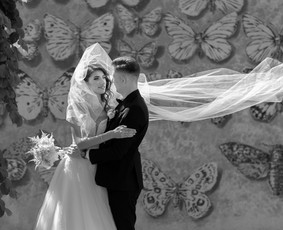 Profesionali vestuvių fotografė, visoje Lietuvoje. / Daiva Vaitkienė / Darbų pavyzdys ID 2373671