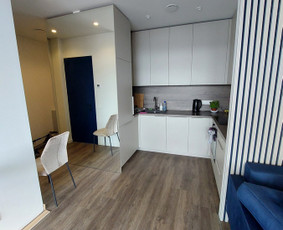 Parketo, vinilo, laminato. grindjuosčių. profilių montavimas / Linas / Darbų pavyzdys ID 2376355