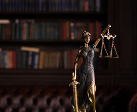 Specialistas šeimos, administracinėje, bankroto teisėje / Advokatas Elmaras Urbonas / Darbų pavyzdys ID 2378185