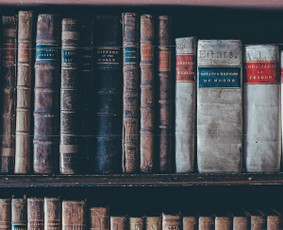 Konsultacijos NT įteisinimo klausimais - Žemėtvarkos, paveldėjimo ir statybos teisės specialistas - 2