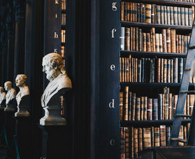 Paveldėjimo teisės paslaugos - Žemėtvarkos, paveldėjimo ir statybos teisės specialistas - 1