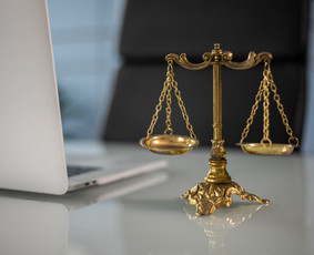 Žemės teisės paslaugos - Žemėtvarkos, paveldėjimo ir statybos teisės specialistas - 3