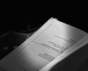 Teisinės paslaugos - Žemėtvarkos, paveldėjimo ir statybos teisės specialistas - 3