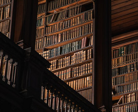 Advokato konsultacija - Žemėtvarkos, paveldėjimo ir statybos teisės specialistas - 1