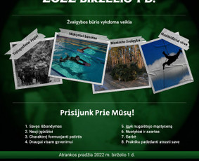 Geresnis dizainas. Geresni rezultatai. Padėjome +300 įmonių / Mantas Vileišis / Darbų pavyzdys ID 2381875