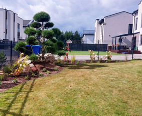 Apželdinimo paslaugos,projektų rengimas,aplinkos priežiūra - Augalų ir medelių sodinimas - 1 Augalų ir medelių sodinimas - Apželdinimo paslaugos,projektų rengimas,aplinkos priežiūra - 1