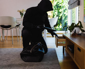 Aktyvi rūko apsaugos sistema/ Fiziškai sustabdoma vagystė - Signalizacijos namams, butams - 1 Signalizacijos namams, butams - Aktyvi rūko apsaugos sistema/ Fiziškai sustabdoma vagystė - 1