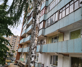 Greiti griovimo darbai! Šiukšlių Išvežimas ! / MT / Darbų pavyzdys ID 2396369