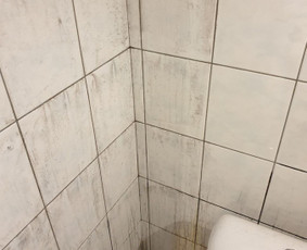 Pelėsio ir medžio grybo "Trobagrybio" naikinimas, šalinimas / PelėsioNaikinimasSalinimas.lt / Darbų pavyzdys ID 2399935