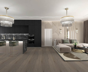 Interjero dizainas/3d vizualizacijos/brėžiniai / Aušra Degėsytė / Darbų pavyzdys ID 2404720