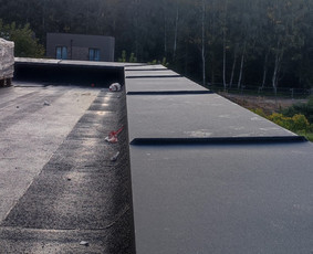 Šlaitinių stogų dengimas, šiltinimas, renovacija Vilnius. / UAB Namu Stogai / Darbų pavyzdys ID 2407430