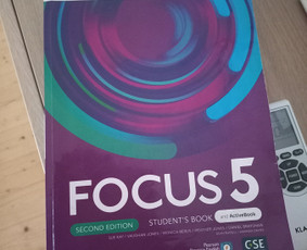 Mokinių ruošimas anglų kalbos egzaminams - Individualios anglų pamokos namie ar internetu - 2