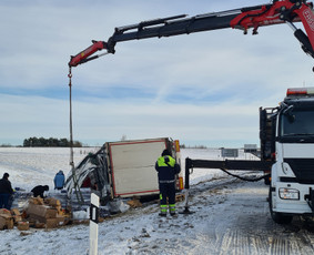 Kroviniu pervezimas fiskaru, žemagrindė puspriekabė, tralas / UAB Automera / Darbų pavyzdys ID 2409830