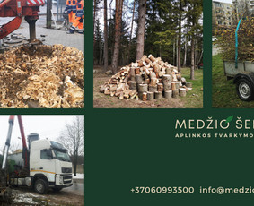 Medžių pjovimas ir genėjimas. Visi aplinkos tvarkymo darbai / MEDŽIO ŠERDIS / Darbų pavyzdys ID 2410410