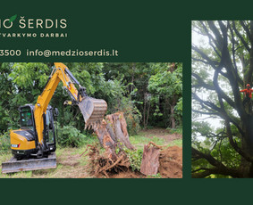 Medžių pjovimas ir genėjimas. Visi aplinkos tvarkymo darbai / MEDŽIO ŠERDIS / Darbų pavyzdys ID 2410416