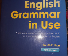 Anglų kalbos kursai - Individualios anglų pamokos namie ar internetu - 1