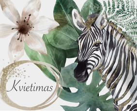 Vizualinis menas kuriantis vertę - Skrajutės maketavimas - 1 Skrajutės maketavimas - Vizualinis menas kuriantis vertę - 1