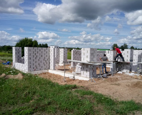 Statybos darbų techninė priežiūra / projekto valdymas / Aleksandr Osipov / Darbų pavyzdys ID 417485