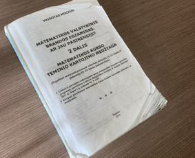 Anglų kalbos kursai, pamokos - Goda Paskal jėzuitų gimnazijos anglų kalbos korepetitorė - 4