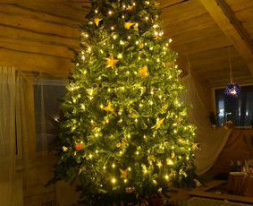 Kalėdinis dekoravimas - Augalų menas - dekoras ir žalioji interjero estetika - 3