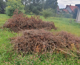Pigus Senų baldų šiukšliu išvežimas Griovimo darbai! / Jonas / Darbų pavyzdys ID 2418340