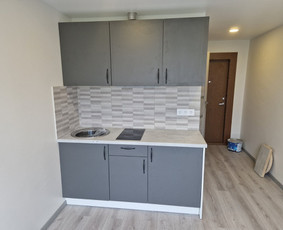 Pastatų ūkio administravimas / Julius / Darbų pavyzdys ID 2419256