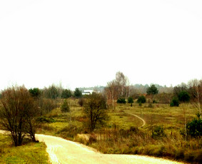 A2x2 Architektai - Gyvenamųjų namų projektavimas / Mažas. Paprastas. Draugiškas / Darbų pavyzdys ID 2420370