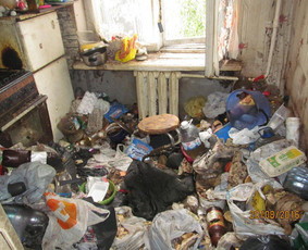 Pigus Šiukšlių Išvežimas Kaina Nuo 12€/m3 / Artur Seniut / Darbų pavyzdys ID 2423392