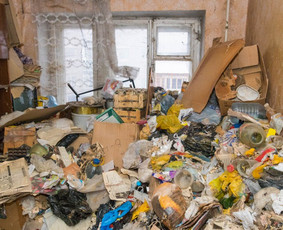 Pigus Šiukšlių Išvežimas Kaina Nuo 12€/m3 / Artur Seniut / Darbų pavyzdys ID 2423414