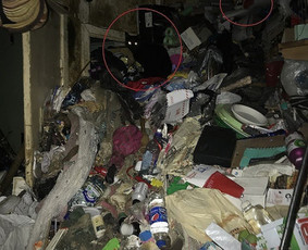 Pigus Šiukšlių Išvežimas Kaina Nuo 12€/m3 / Artur Seniut / Darbų pavyzdys ID 2423418