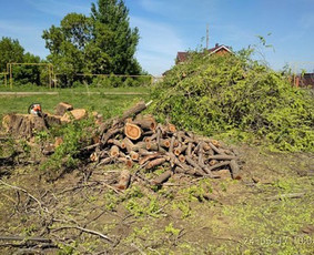 Pigus Šiukšlių Išvežimas Kaina Nuo 12€/m3 / Artur Seniut / Darbų pavyzdys ID 2424676