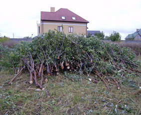 Pigus Šiukšlių Išvežimas Kaina Nuo 12€/m3 / Artur Seniut / Darbų pavyzdys ID 2424678