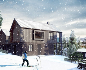 Architektūriniai 3d klipai ir vizualizacijos / NT 3D vizualizacijos / Darbų pavyzdys ID 2425024