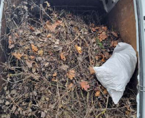 Postatybinis valymas ir kiti valymai / GRIOVEJAS / Darbų pavyzdys ID 2426614