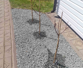 Aplinkos apželdinimo darbai ir priežiūra / Zita Dubietiene / Darbų pavyzdys ID 2426758