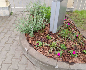 Aplinkos apželdinimo darbai ir priežiūra / Zita Dubietiene / Darbų pavyzdys ID 2426768