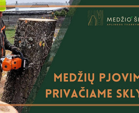 Medžių pjovimas ir genėjimas. Visi aplinkos tvarkymo darbai / MEDŽIO ŠERDIS / Darbų pavyzdys ID 2428504