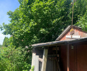 Greitas Krovinių pervežimas Atlieku (šiukšlių išvežimas) / Dominykas / Darbų pavyzdys ID 2429012