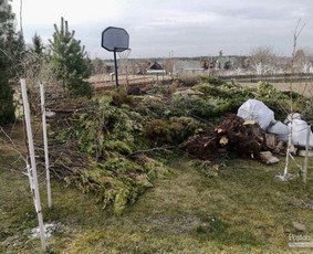 Greitas Krovinių pervežimas Atlieku (šiukšlių išvežimas) / Dominykas / Darbų pavyzdys ID 2429038