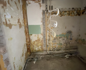 Greitas Krovinių pervežimas Atlieku (šiukšlių išvežimas) / Dominykas / Darbų pavyzdys ID 2429042