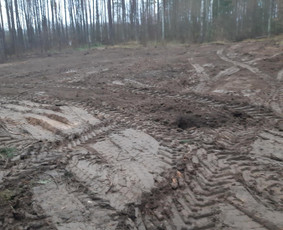 Apleistų sklypų tvarkymas - Statybos, Gerbūvis, Ekskovatoriaus paslaugos - 1